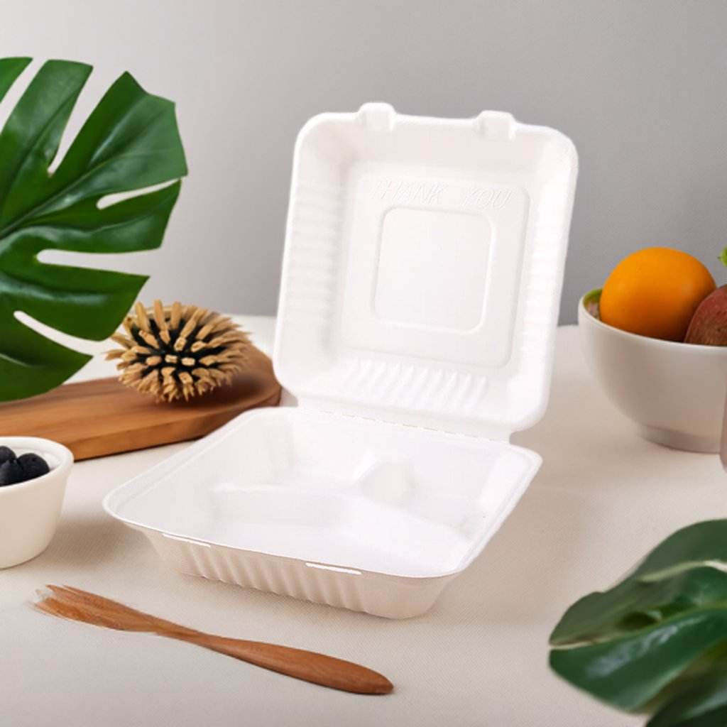 Sugarcane Takeaway Containers & Packaging Supplies - Pakio