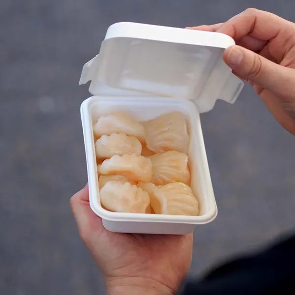 Fresh dim sum served in a Pakio eco-friendly white compostable takeaway container, showcasing practical food-grade packaging for catering.