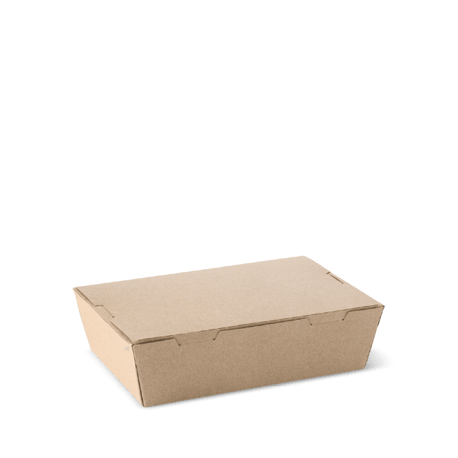 Large Lunch Box 400pcs - Pakio