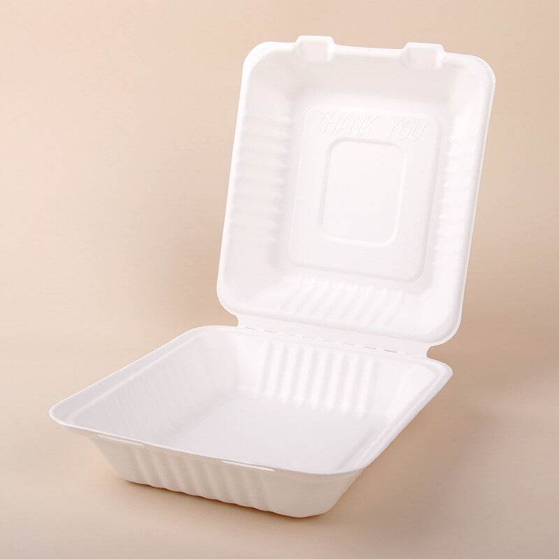 8 inch Clamshell 200pc/ctn - Pakio