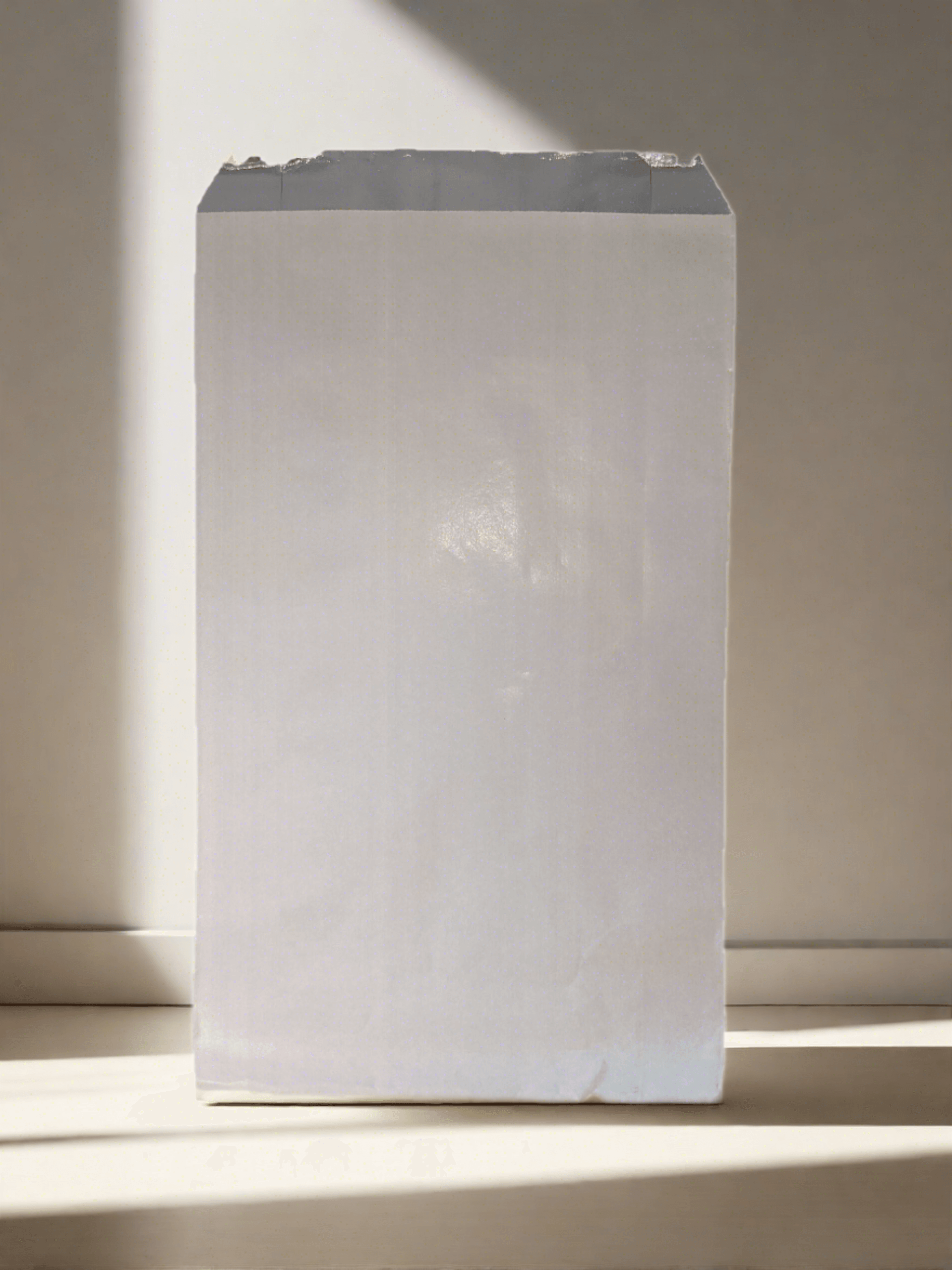 Plain White Jumbo Foil Chicken Bag 250pcs - Pakio