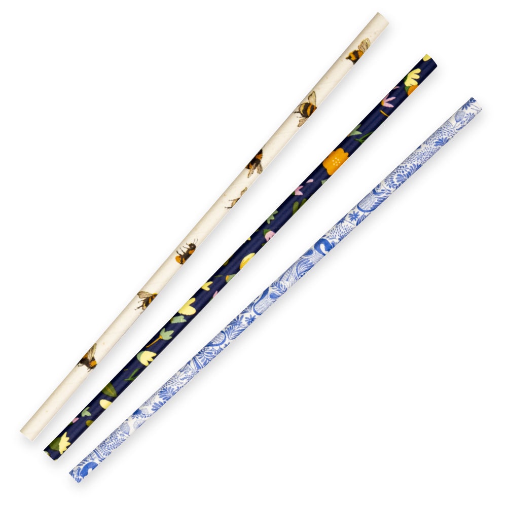 BioPak 6mm Art Series Regular Paper Straw 2500pc