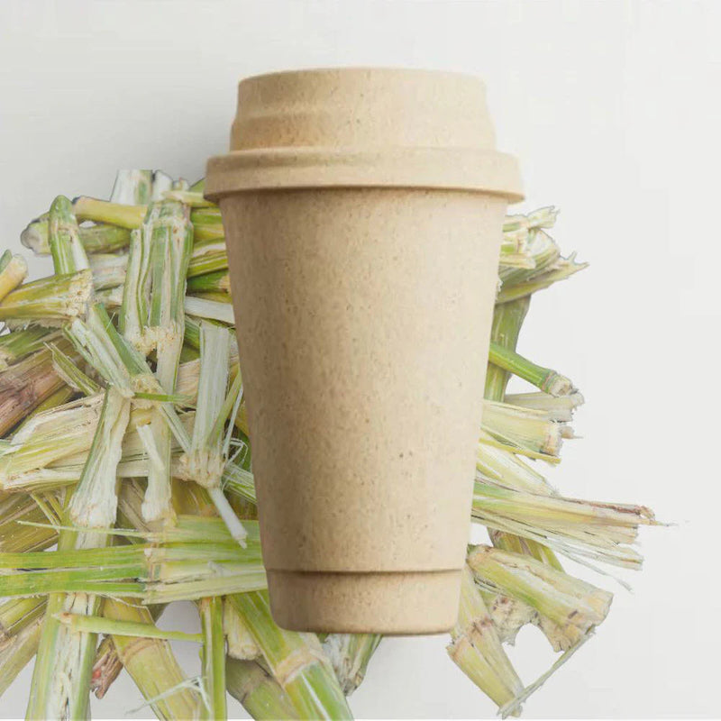 Bagasse Disposable Cups & Lids