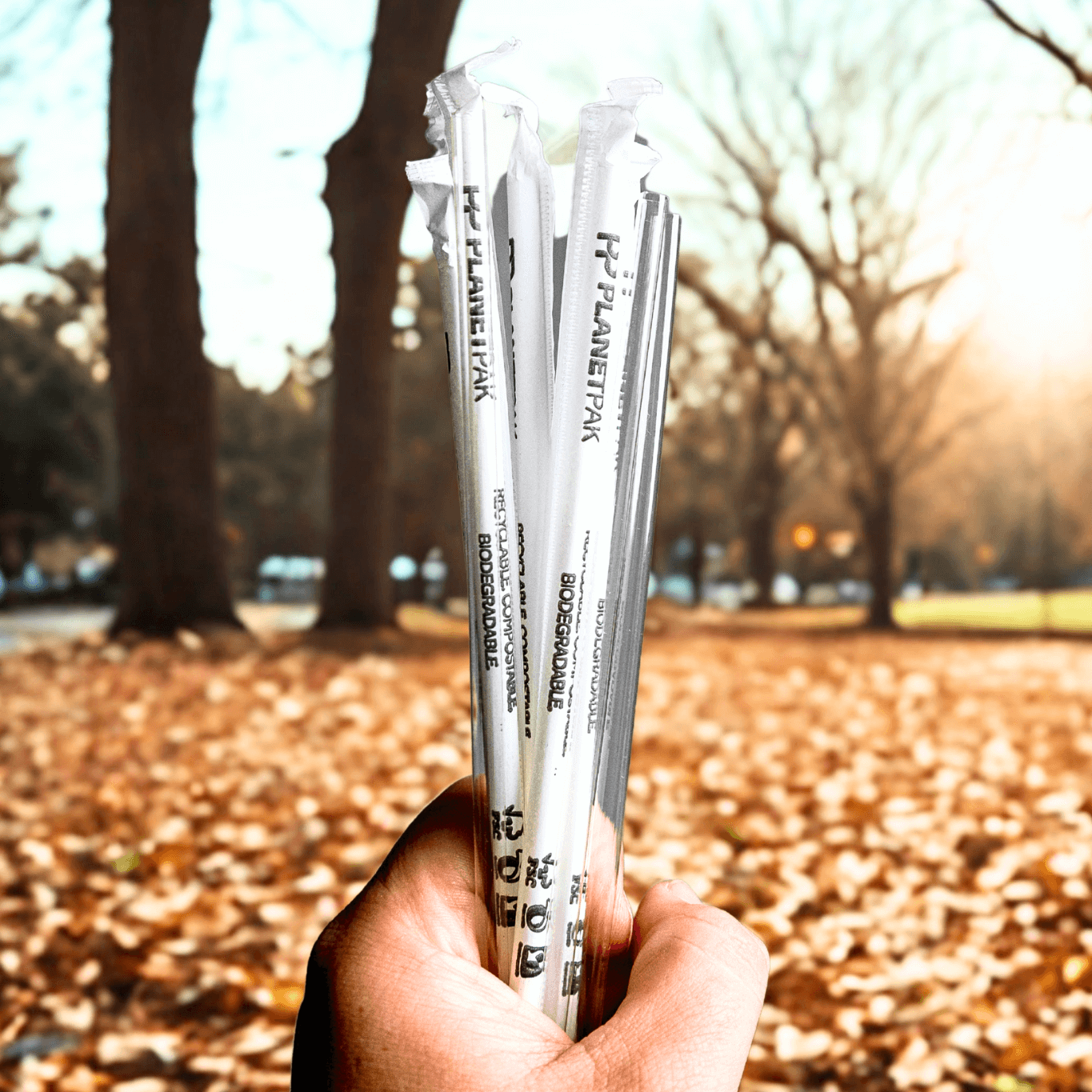 Compostable Jumbo Wrapped Straws 7.62mm x 197mm – Individually Wrapped (Carton of 1,200)