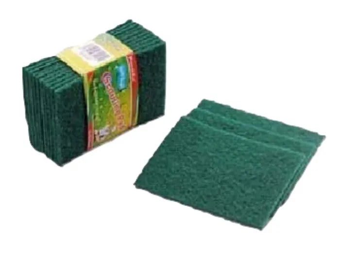 Regular Scouring Pad 10pcs/pk