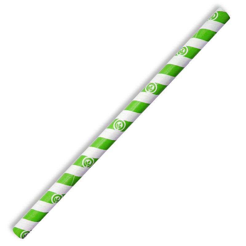 BioPak 10mm Green Stripe Jumbo Paper Straw 2500pc