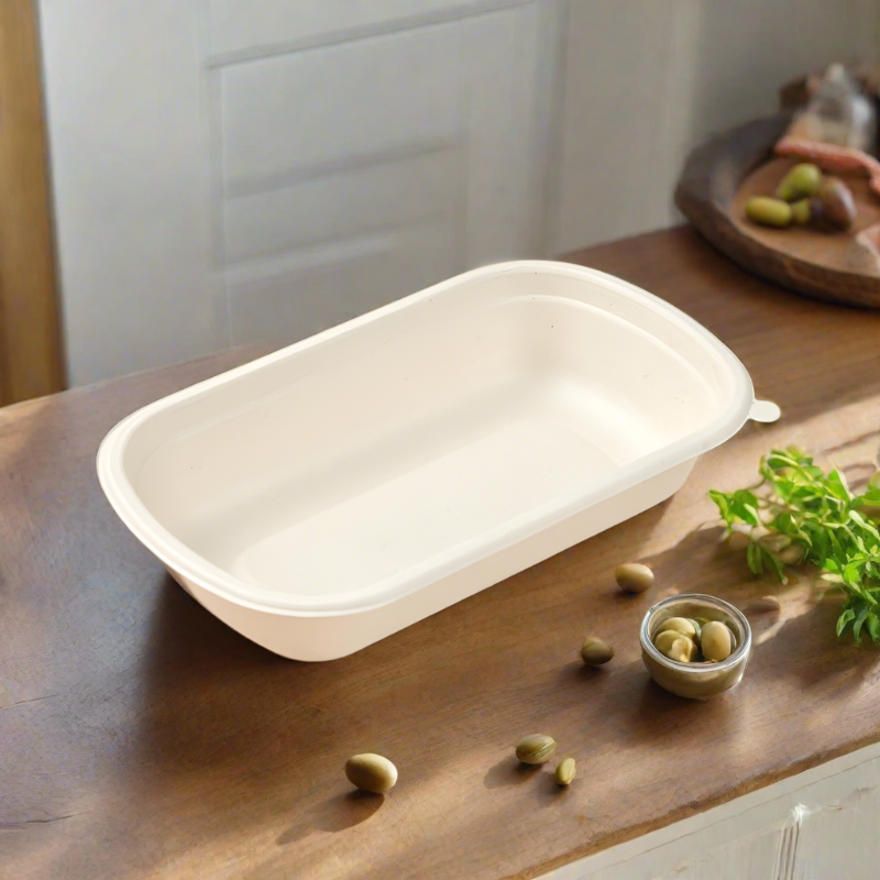Sugarcane Rectangle Container
